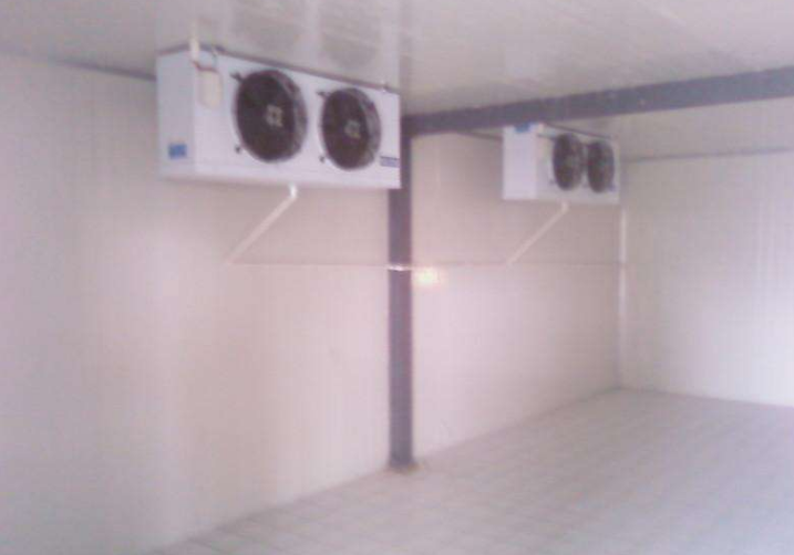 ɽ�|����OӋ